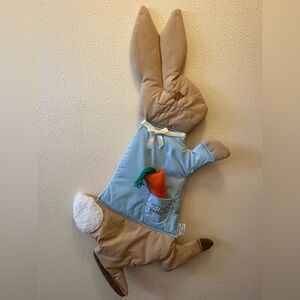 Beatrix Potter Peter Rabbit by Quiltex Wall Hanging